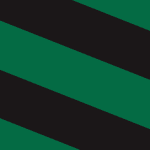 Stripe Tape - Diagonal Black Green